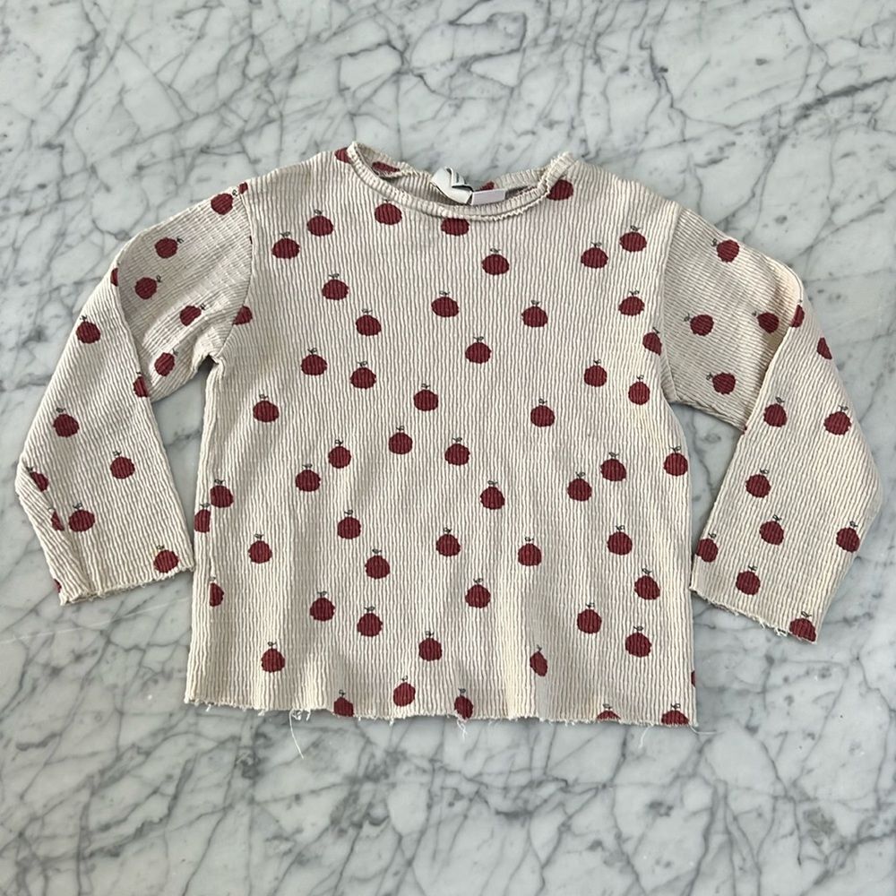 Zara Ribbed Long Sleeve Apple Tee Size 3/4T